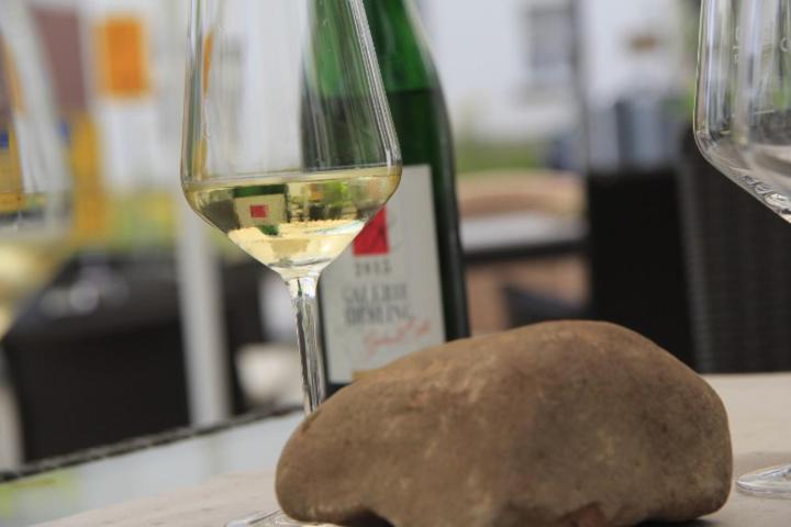 Galerie Riesling 호텔 트리텐하임 외부 사진